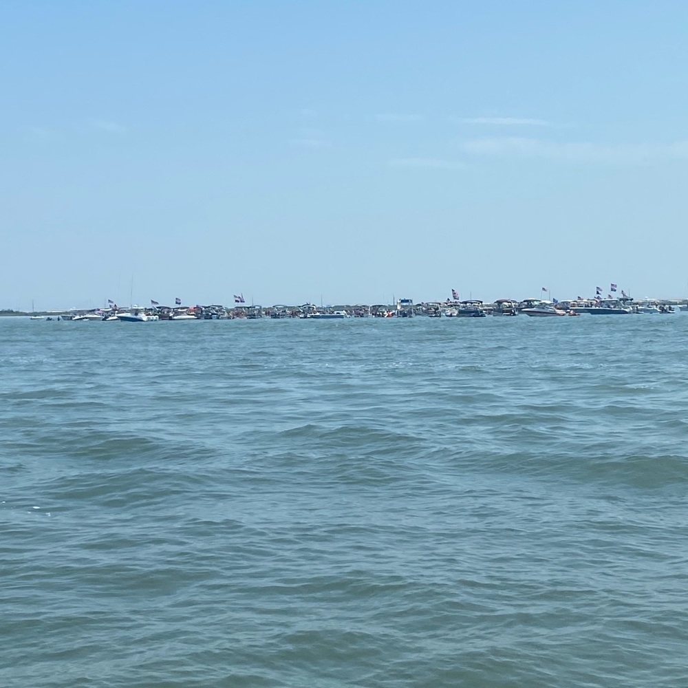 Meet your Posher, Nicci